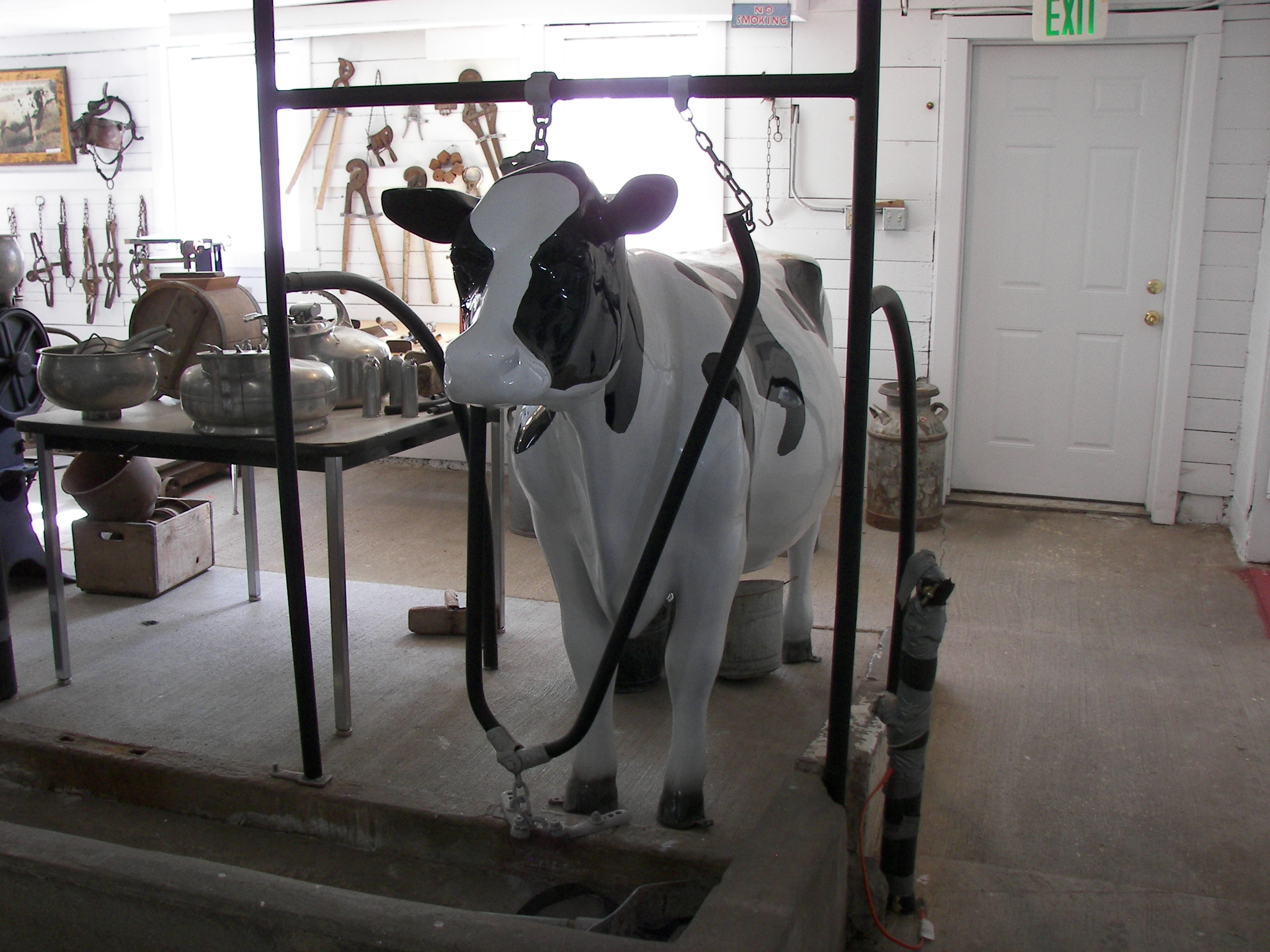 Room 2 - Dairy & Farming - The Cow!